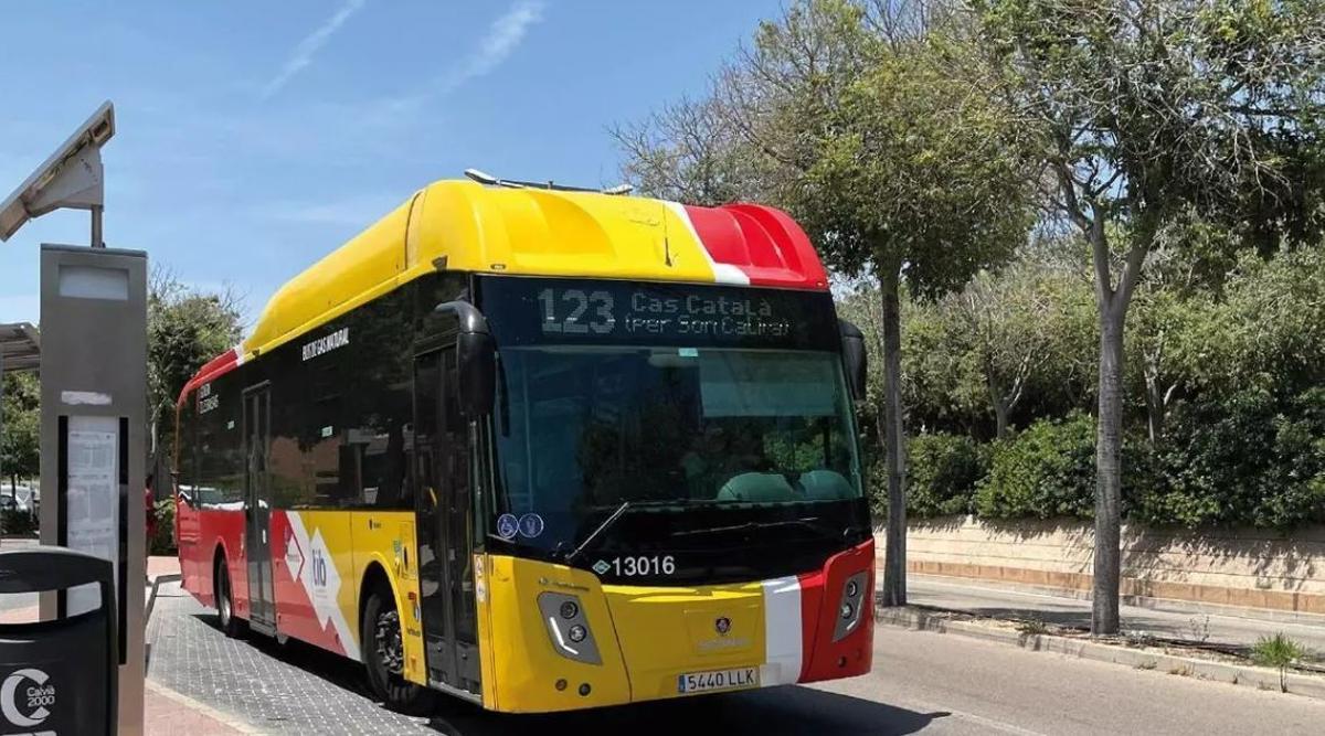 Urlauber in TIB-Bussen mit Fahrkarten von Residenten? Gibt es offenbar inzwischen häufiger.