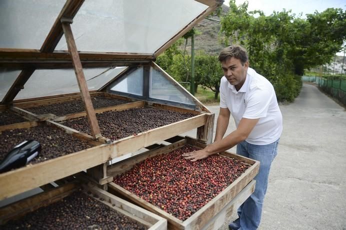 FINCA BODEGA LOS BERRAZALES