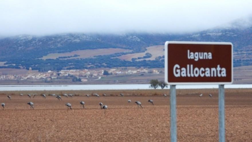 Laguna de Gallocanta.