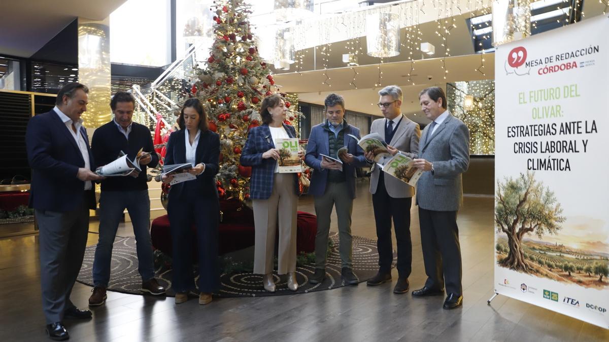 Radiografía del sector oleícola en Córdoba, en imágenes