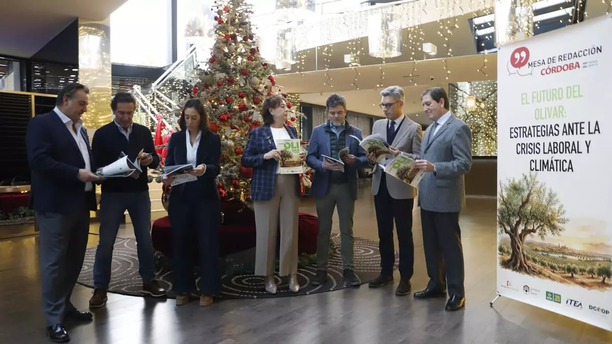 Expertos del olivar destacan la buena calidad de la actual campaña en Córdoba