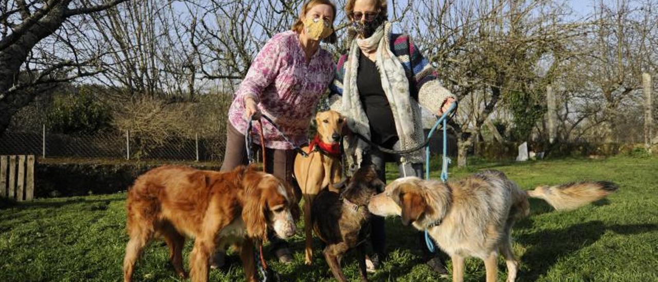 Jane Louise y su amiga Ana Bueno, vecinas de A Estrada, con perros recogidos en el CAAN. | // B/ J. LALÍN