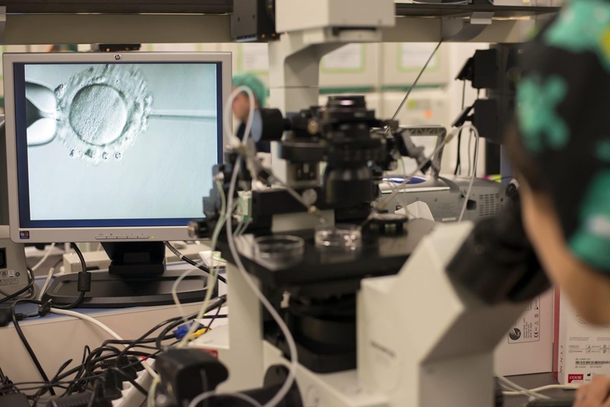 En IVI Valencia hacen una importante apuesta por la investigación.