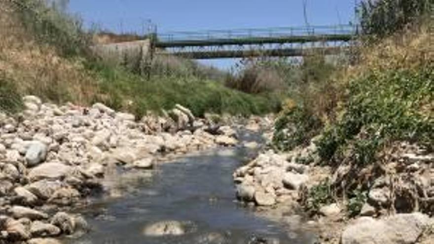 Las aguas fecales recorren el cauce del Vinalopó.