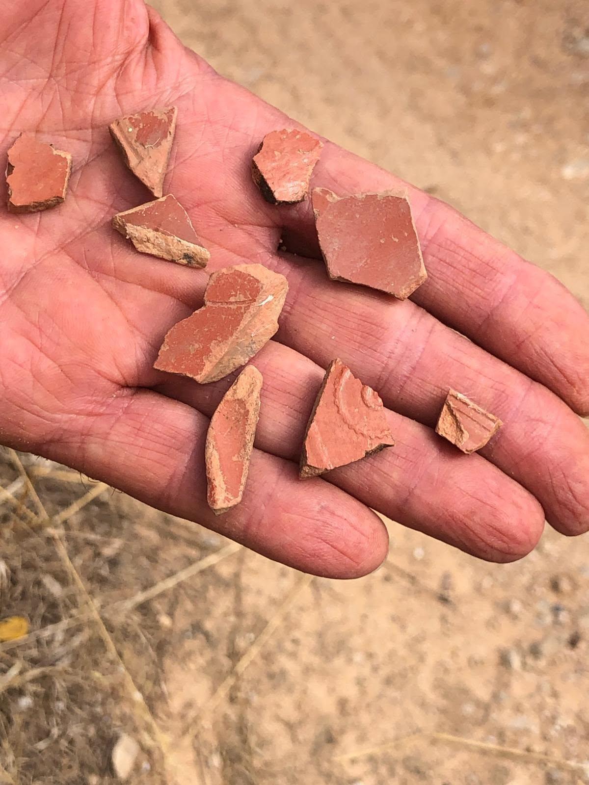 Detalle de los restos de cerámica antigua encontrada en la ruta por el Camí de Xàtiva.