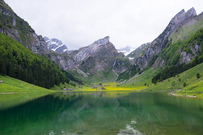 Appenzeller, Suiza