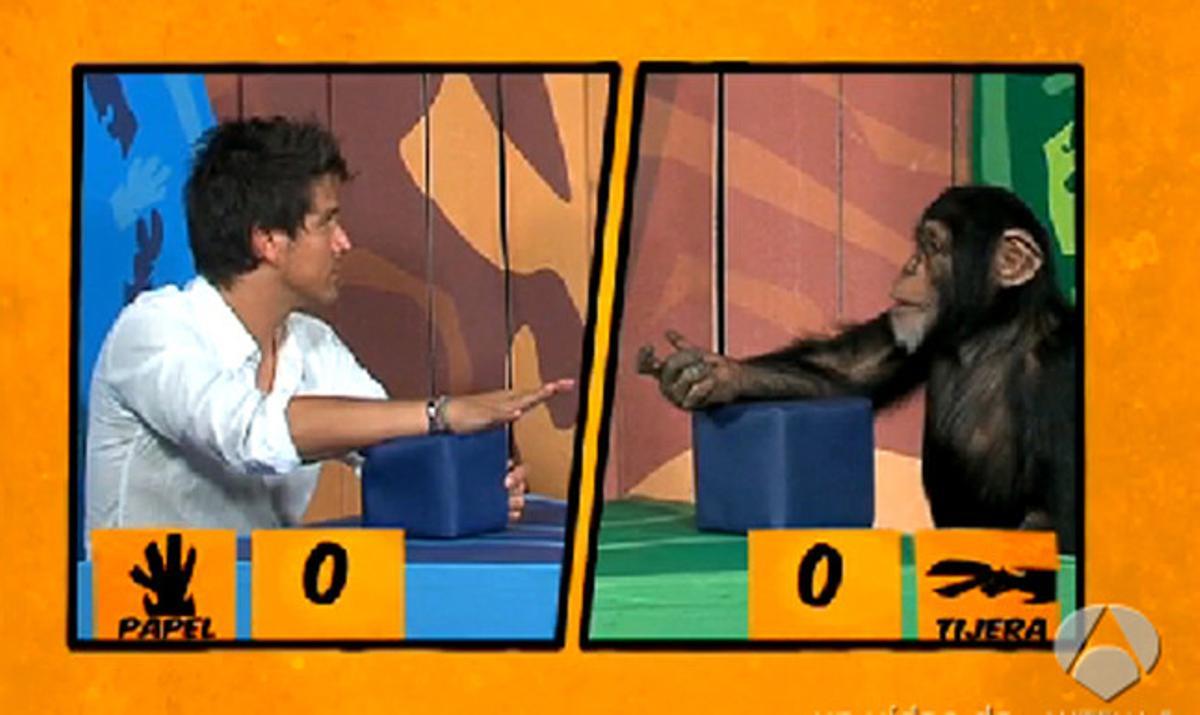 Programa de televisió ’Involución’ amb el mico Darwin jugant a pedra, tisora, paper. Programa de televisió ’Involución’ amb el mico Darwin jugant a pedra, tisora, paper.