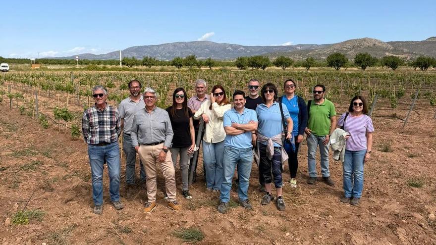 El vino de Alicante busca las mejores viñas de monastrell