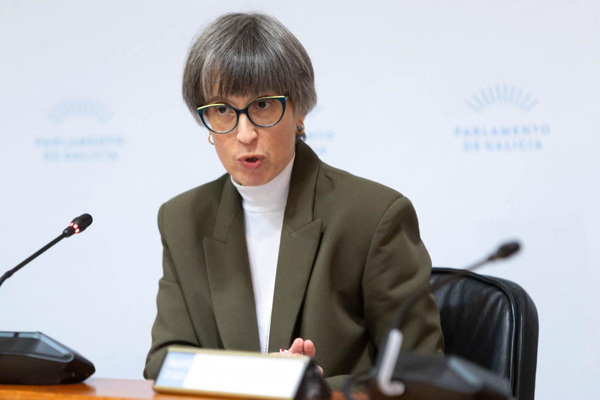 Ángeles V. Suárez intervindo este martes no Parlamento.