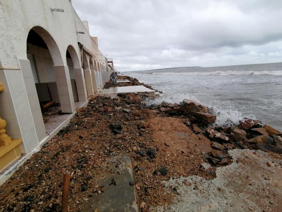 Daños de la borrasca Gloria en Elche