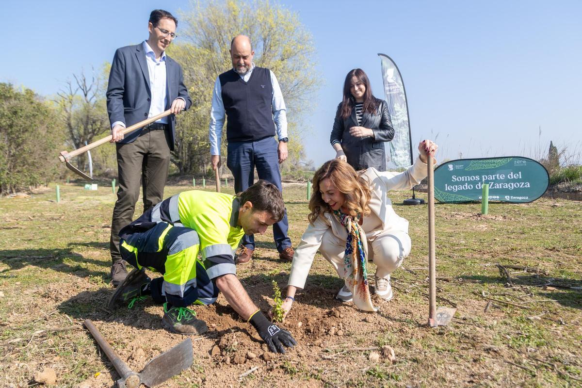 La alcaldesa Natalia Chueca, este martes, durante la plantación.