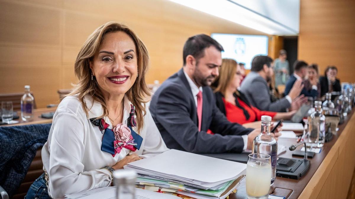 Berta Pérez, en el último pleno del Cabildo de Tenerife.