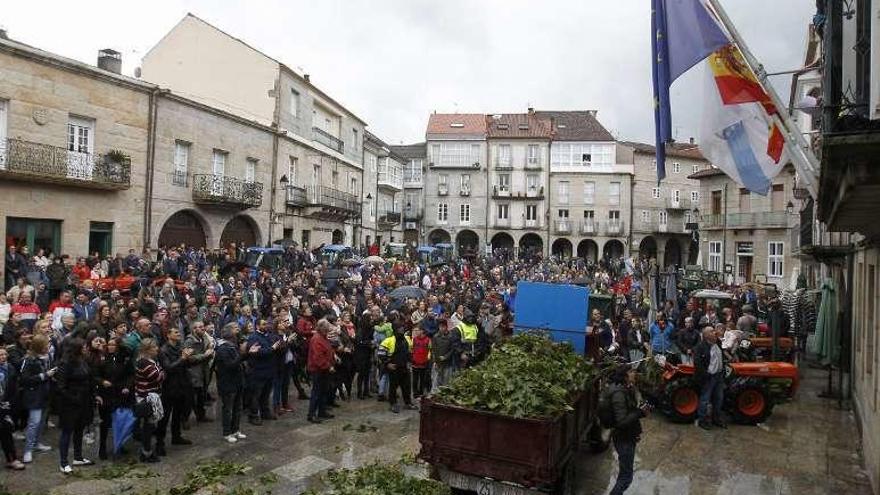 Manifestación celebrada el día 14 en Ribadavia. // J. Regal