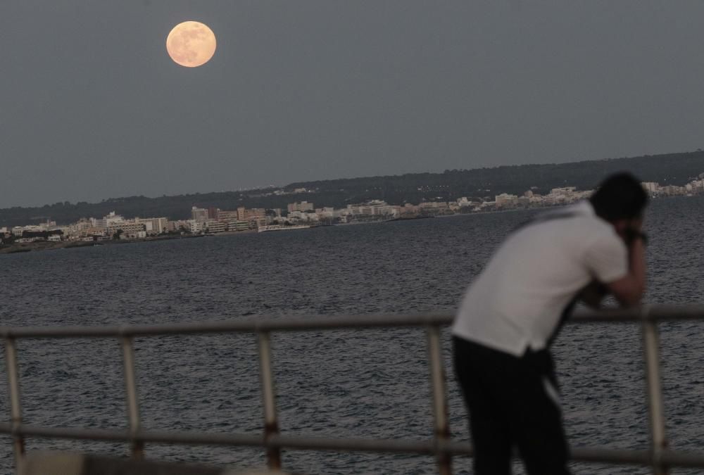 Der Erdbeermond verzückt Mallorca