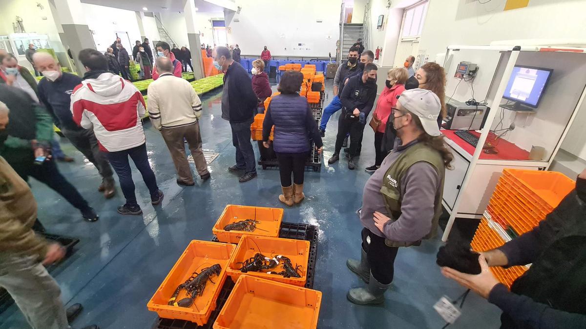 Subasta de bogavante en la lonja meca, el miércoles.