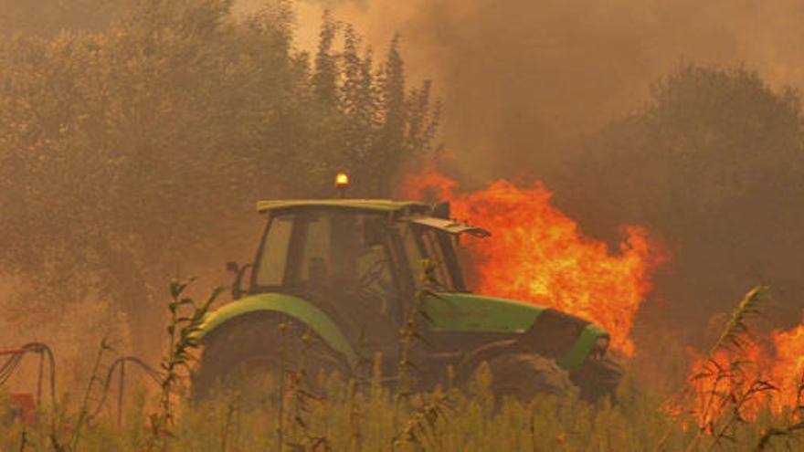 Los incendios han afectado a muchos puntos de España.