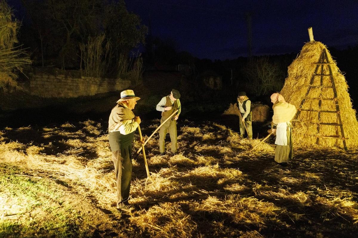 Nit Viva de Fonollosa
