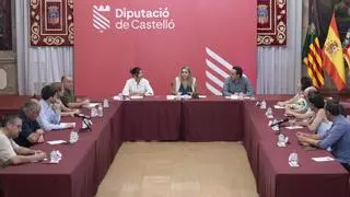 La Diputación de Castellón plantea ayuda económica y técnica a los municipios afectados por macroplantas solares