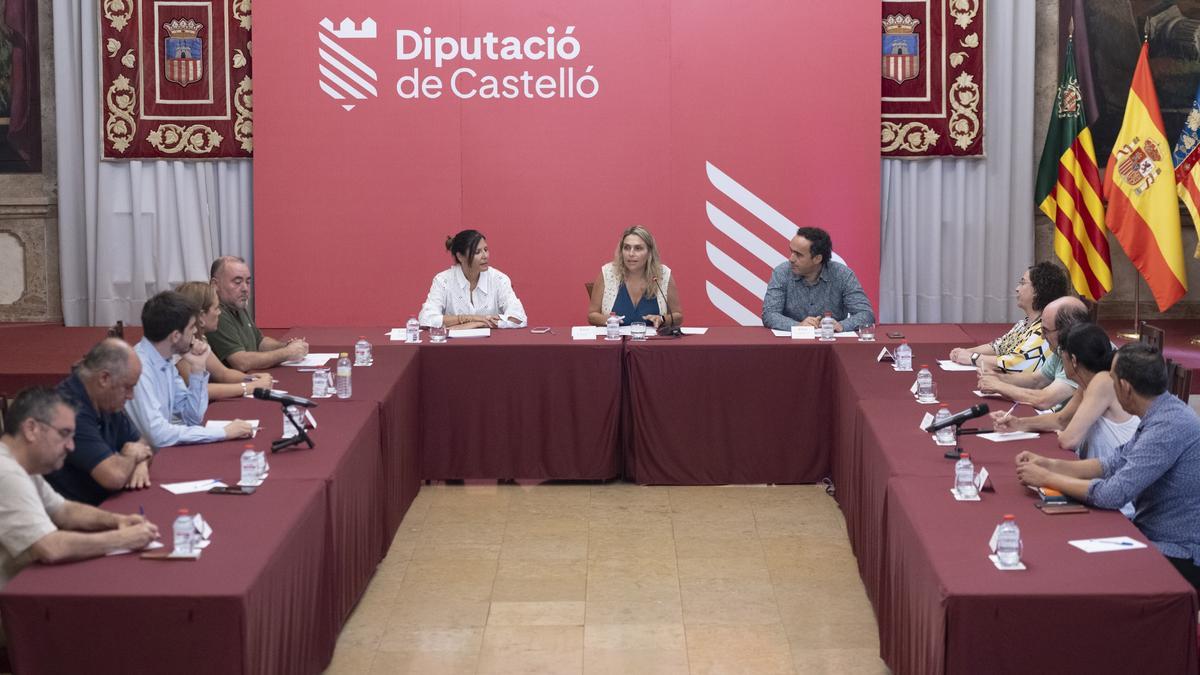 Reunión en la Diputación con los representantes de municipios afectados.