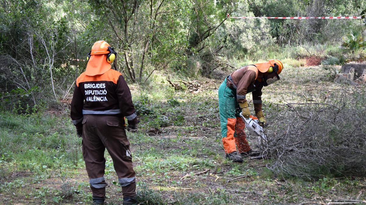 Dos trabajadores de las brigadas forestales realizan tareas de prevención.