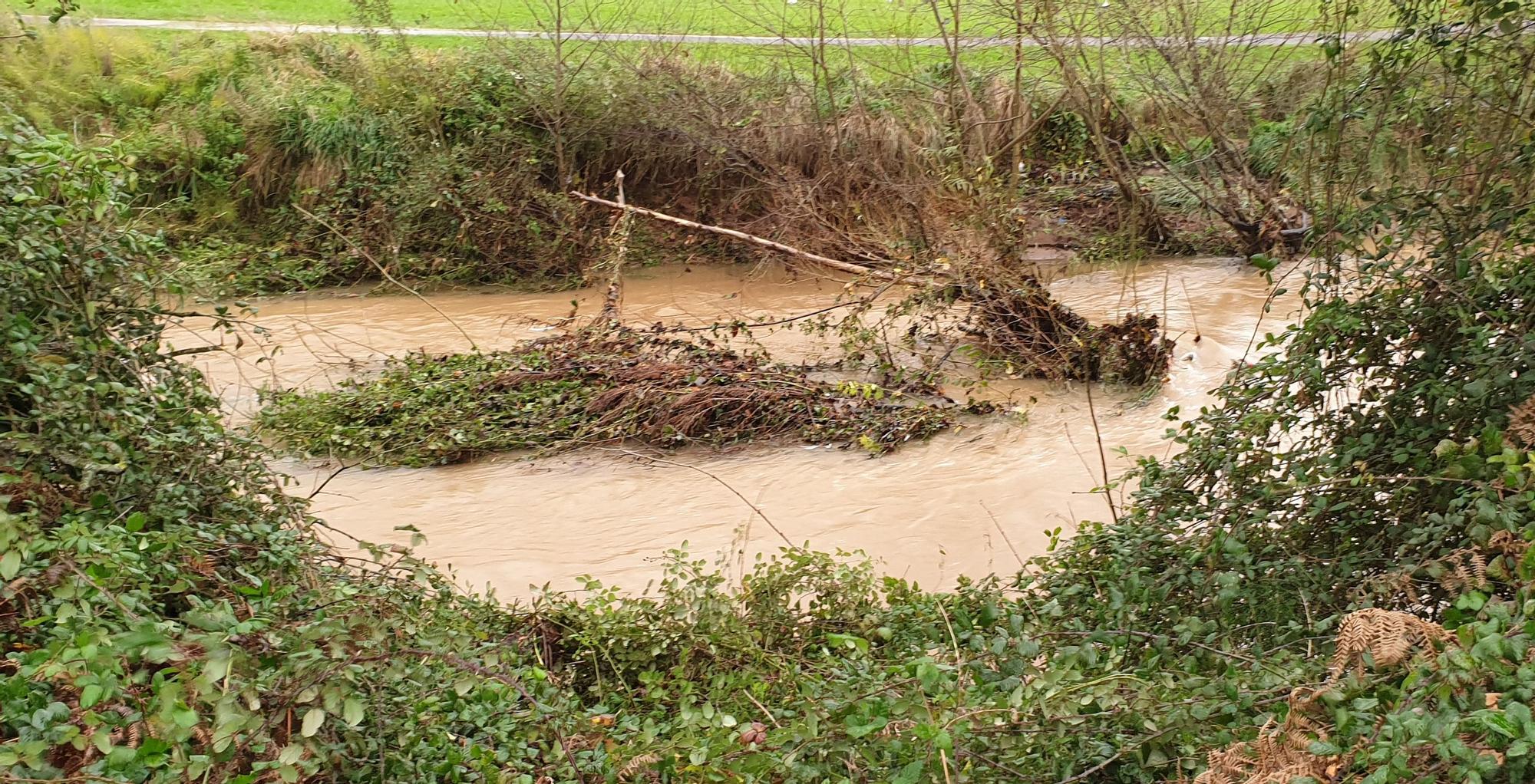 Parque fluvial de Viesques, anegado por las lluvias (4).jpg