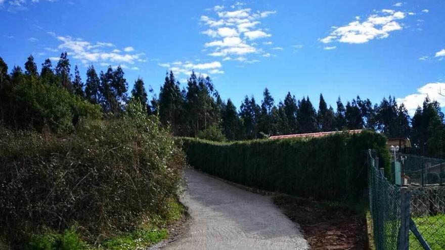 El camino reparado en la localidad de Bances (Pravia).