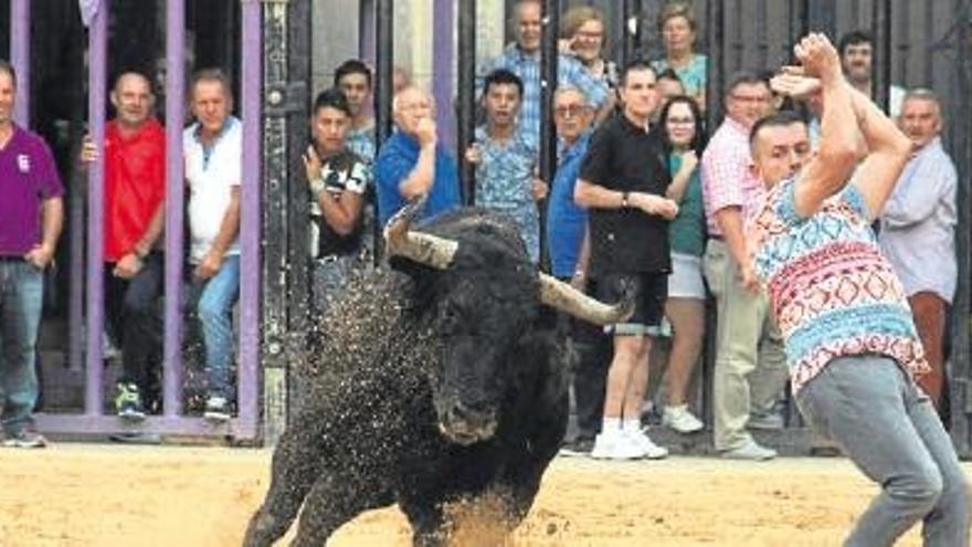 Nules abre programa taurino con un morlaco de Madroñiz