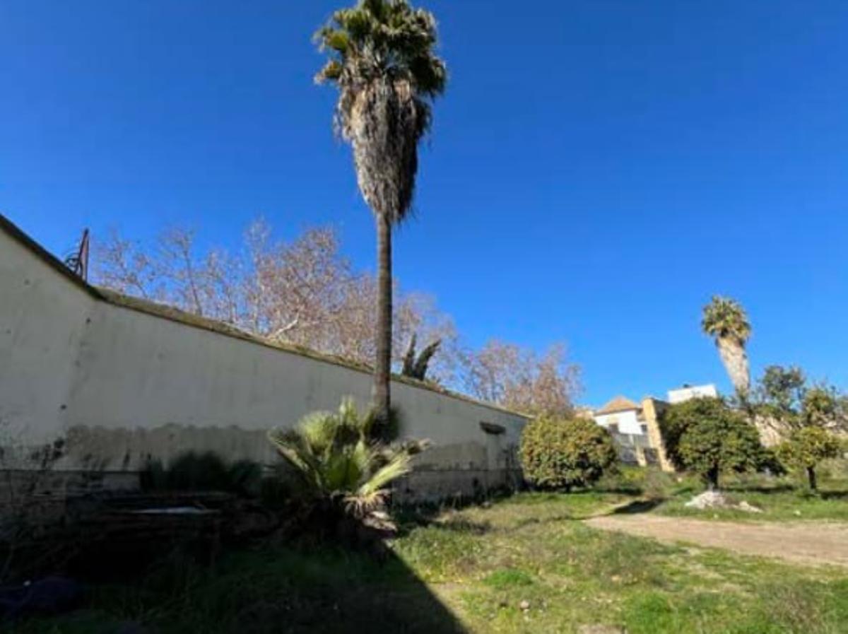 Parte del jardín en su estado actual.