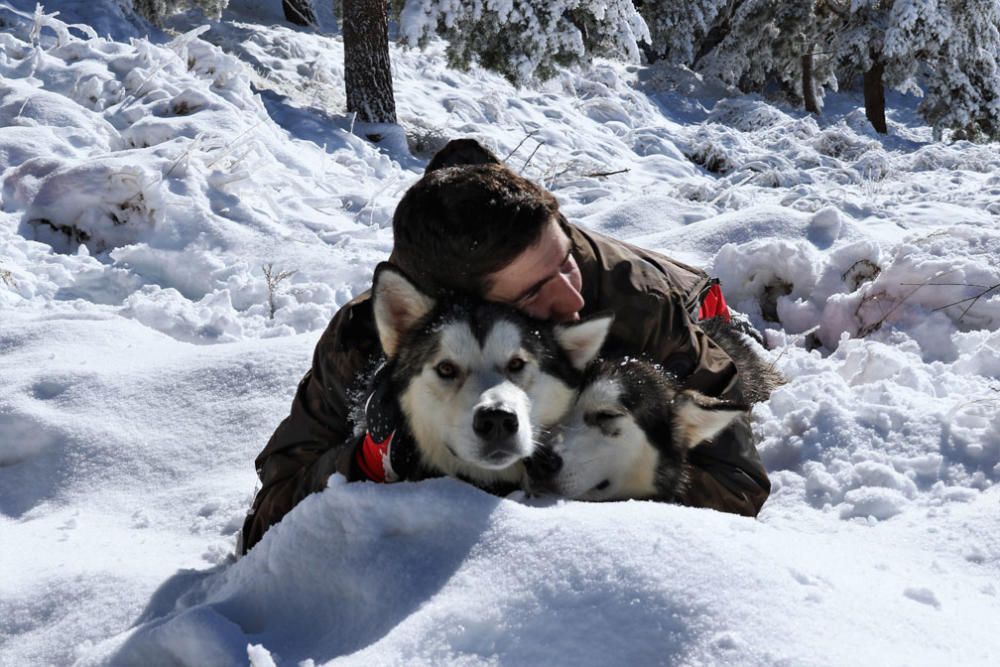 Manuel Calvo se prepara para participar en  el Campeonato de España de carreras de trineo con perros