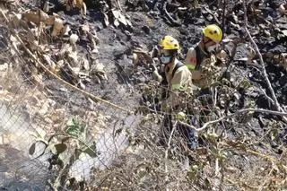 Els Bombers consideren extingit l'incendi de Portbou i Colera