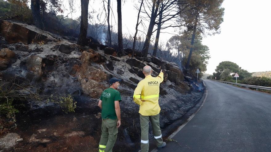 Así ha quedado la &#039;zona cero&#039; del incendio forestal en la sierra de Córdoba