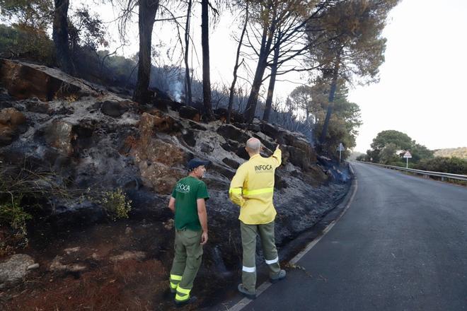 Así ha quedado la 'zona cero' del incendio forestal en la sierra de Córdoba