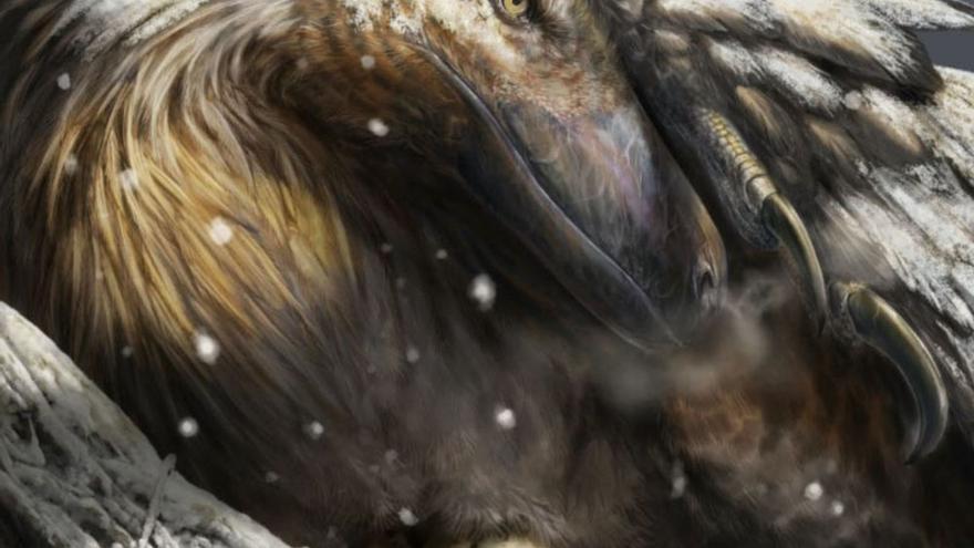 La UVigo vincula la regulación térmica de las aves con los dinosaurios del Jurásico