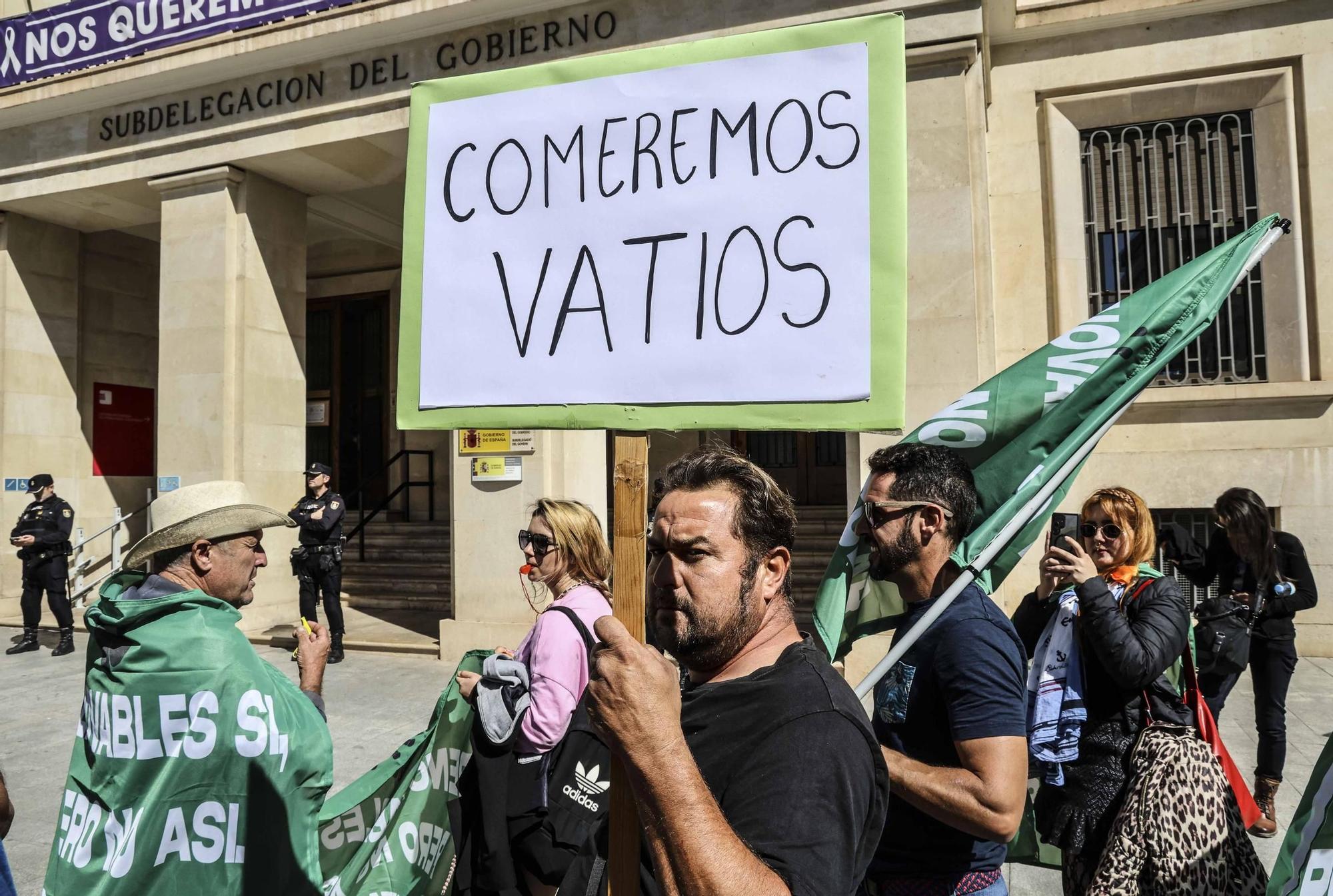 San Miguel de Salinas lleva el rechazo a la planta solar de la desaladora de Torrevieja al centro de Alicante