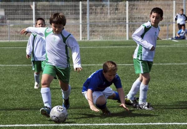 FÚTBOL: Utebo - Olivar (Benjamín)