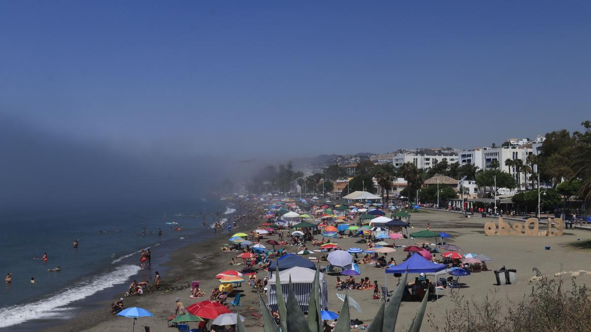 Panorámica de la playa de El Dedo, en El Palo, cubierto por el taró