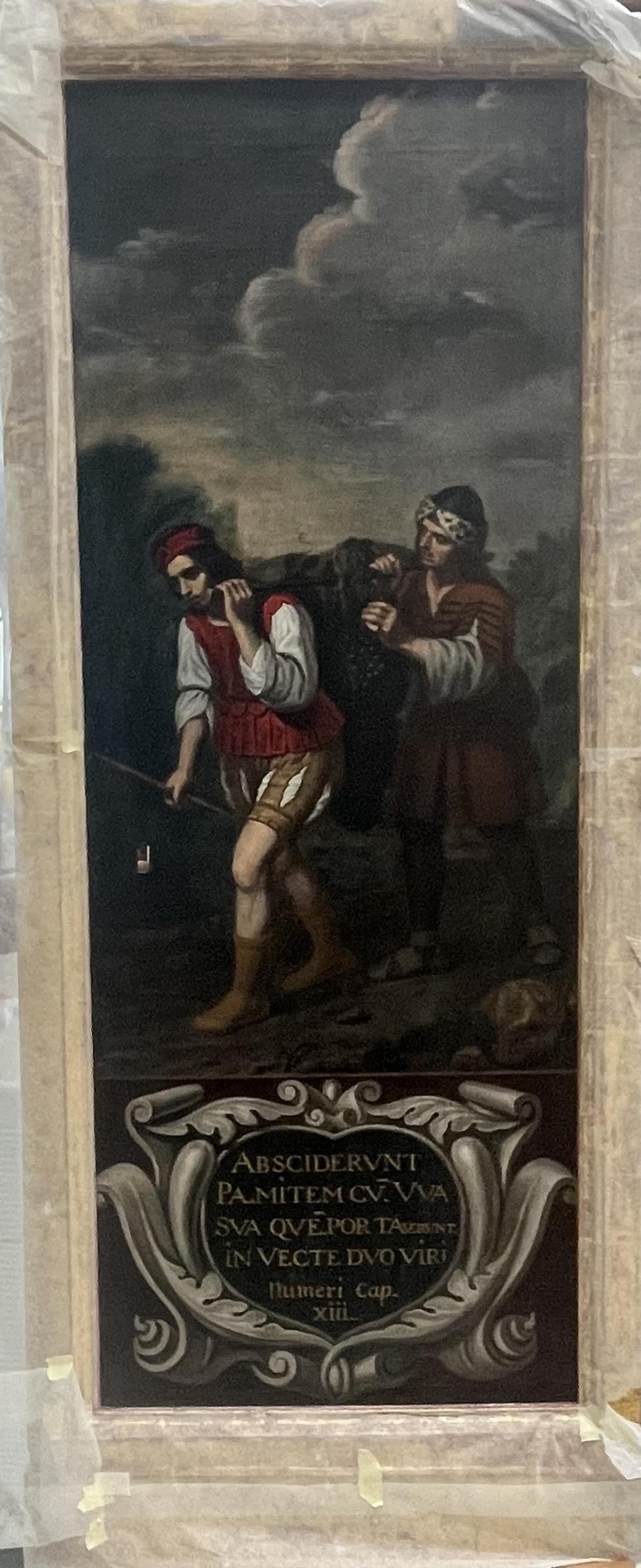 PORTADORES RACIMO Proceso reintegración cromática (y el después)