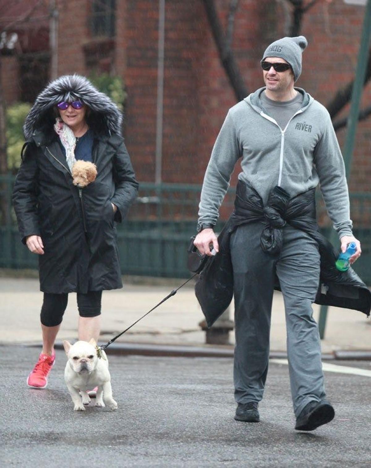 Hugh Jackman y Deborra Lee-Furness, de paseo con sus perros