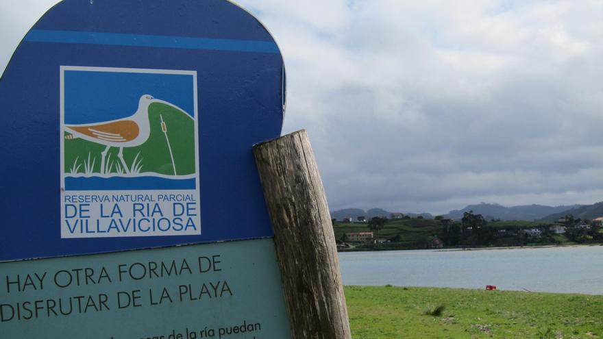 El Principado convocará el Foro de la Ría en enero y debe nombrar nuevo director de la Reserva Natural