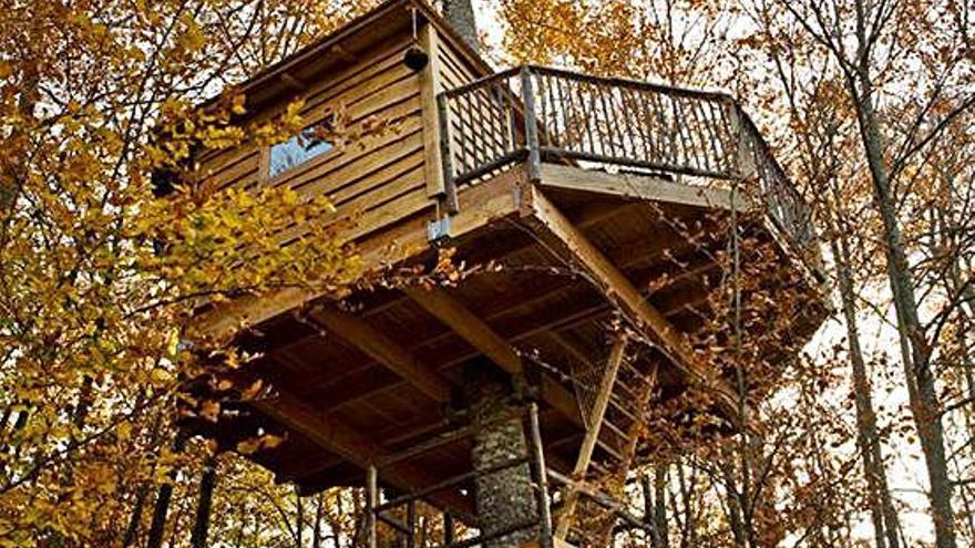 Una de les cabanes suspeses en un arbre al paratge de les Guilleries.