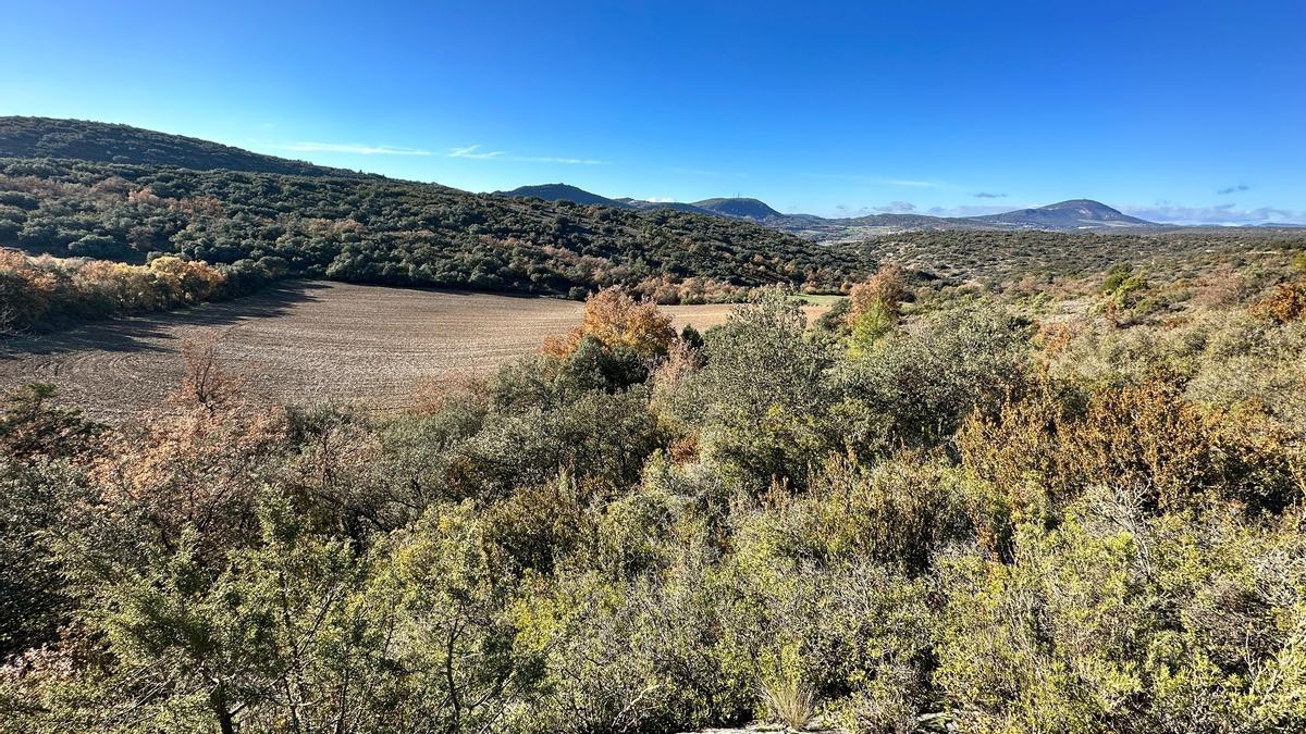 Terrenos de Camporréls donde se instalará el primer eco-resort de España