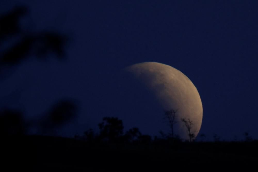 Les millors imatges de l'eclipsi parcial de lluna