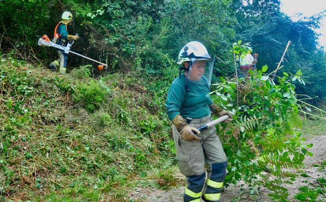 Los guardianes del bosque: la brigada que evita una ola de incendios en Galicia