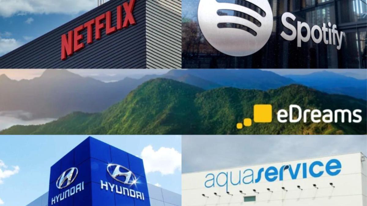 Netflix, Spotify, eDreams, Hyundai y Aquaservice lideran sus respectivos sectores.