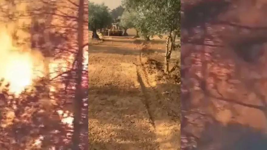 Video | El fuego acecha a la finca Valdepuercas