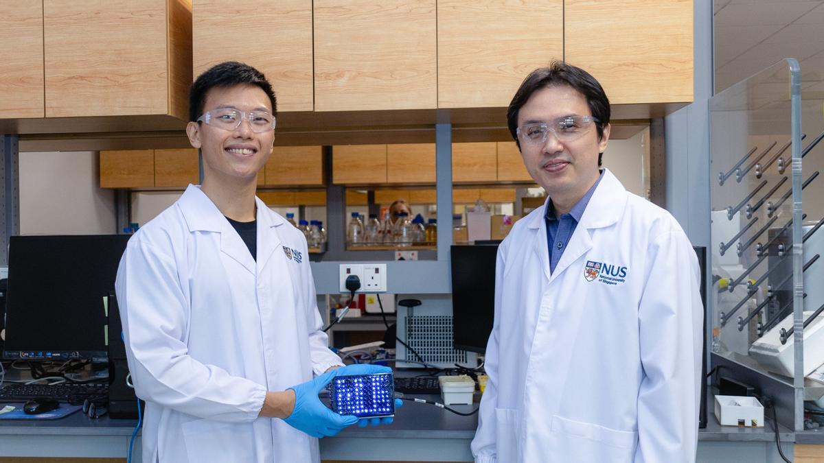 Un equipo de investigadores liderado por Poh Chueh Loo (derecha) ha desarrollado una innovadora &quot;cámara biológica&quot; que aprovecha las células vivas y sus mecanismos biológicos inherentes para codificar y almacenar datos.