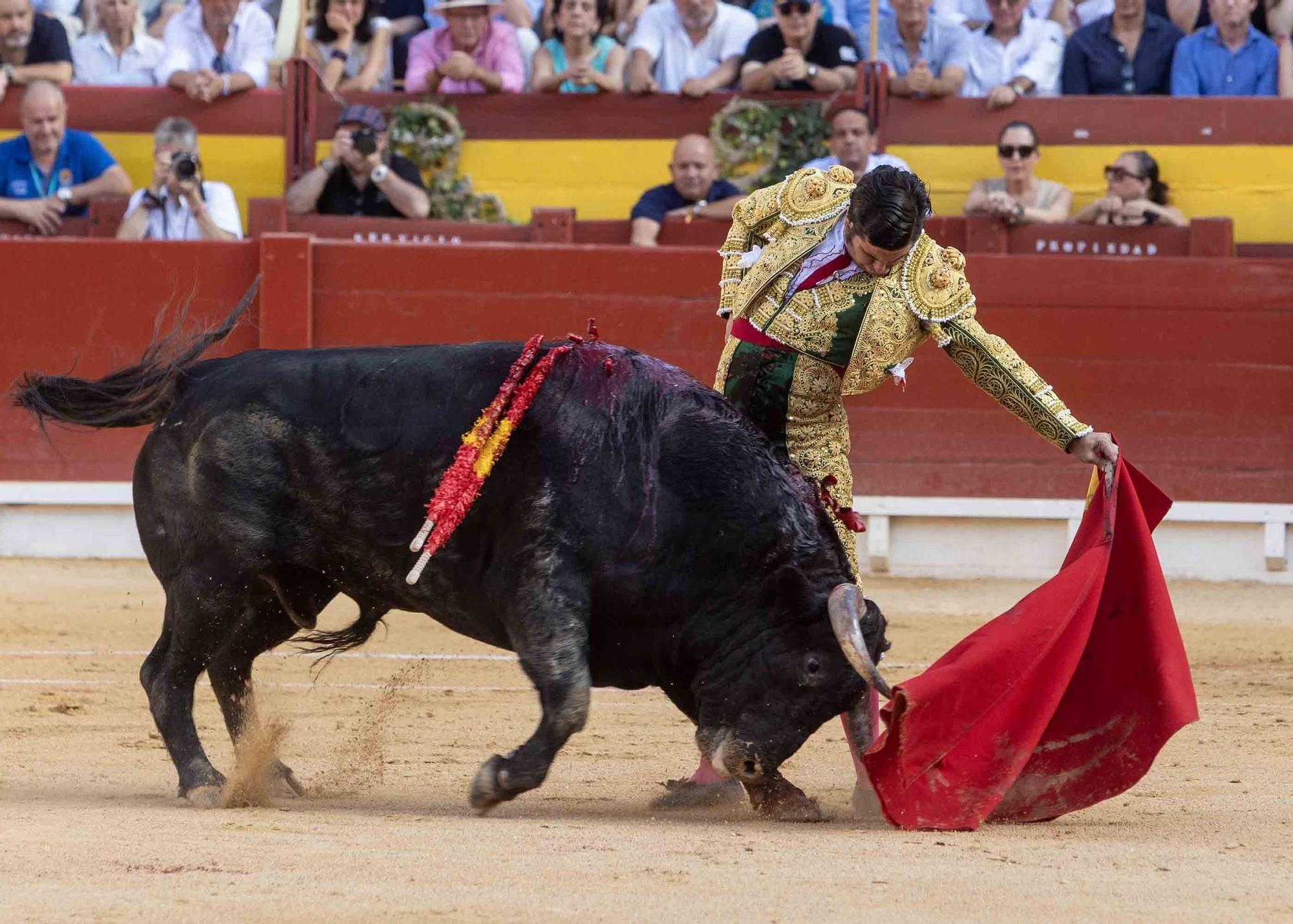 Manzanares culmina una de sus mejores tardes y sale a hombros en la Feria de Hogueras de Alicante 2025