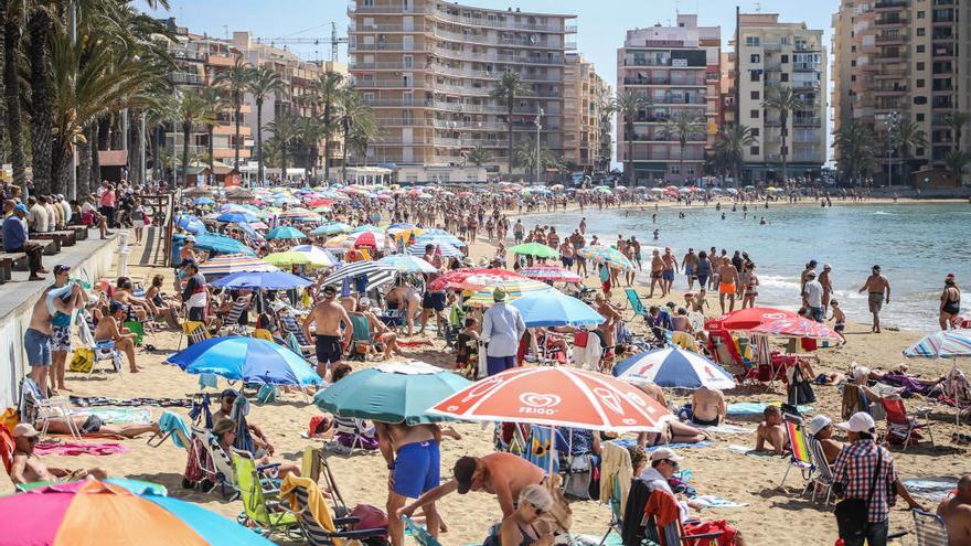 Una imagen de la playa del Cura de Torrevieja.