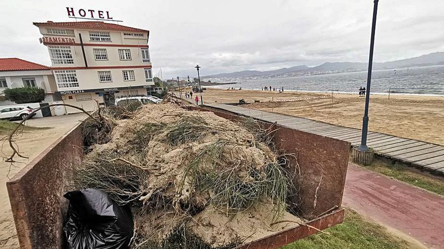 Restos de vegetación y arena en los contenedores de residuos frente a la playa.   | // S.Á.