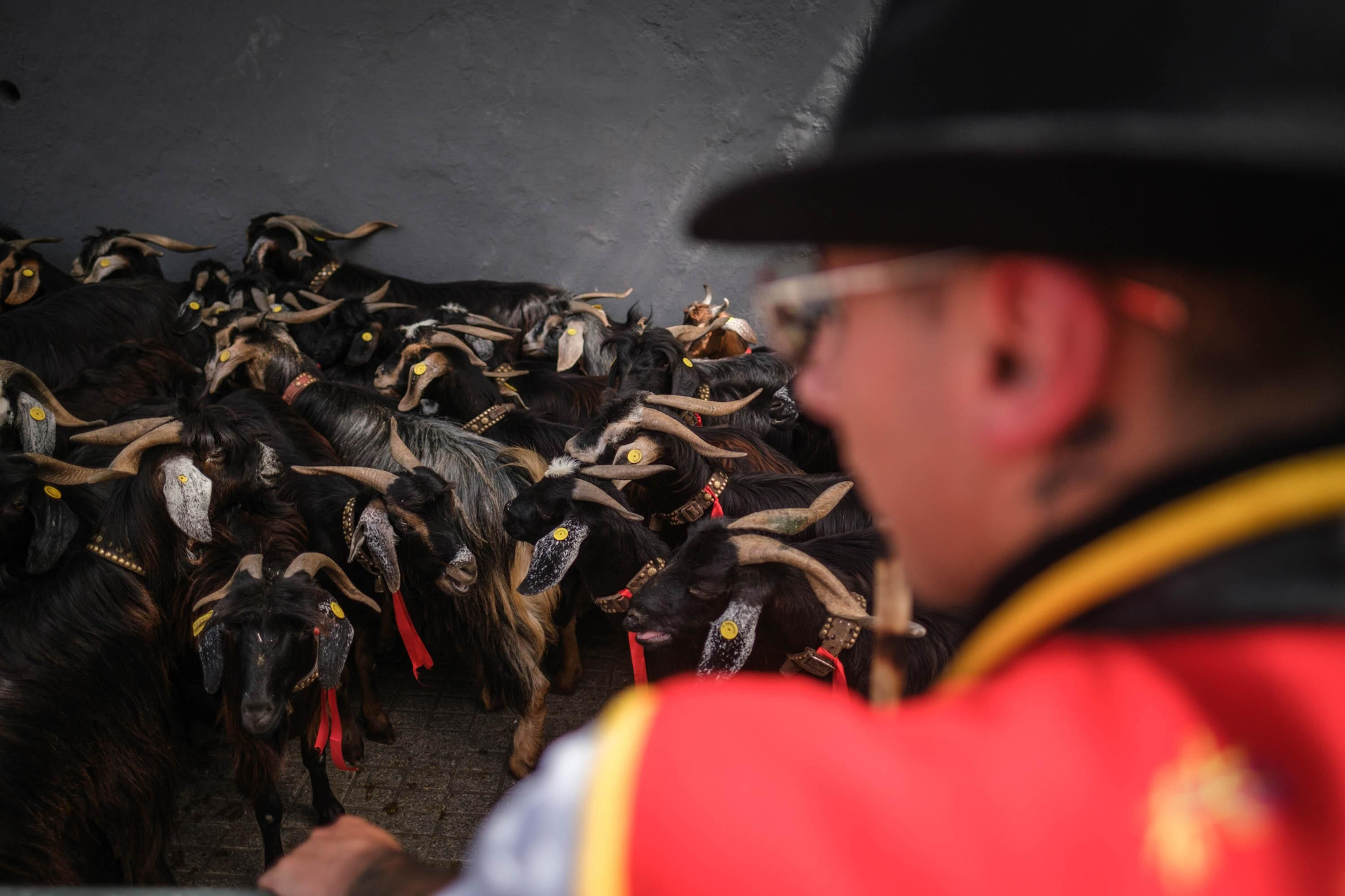 Romería de San Benito en La Laguna
